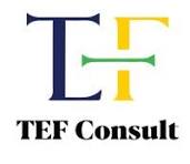 TEF Consult logo